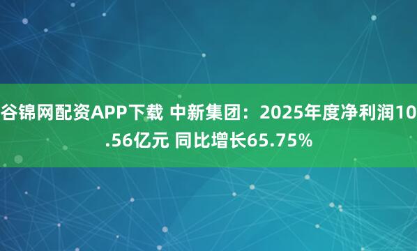 谷锦网配资APP下载 中新集团：2025年度净利润10.56亿元 同比增长65.75%